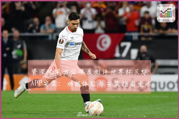 资深玩家为你深度测评世界杯买球APP安装：功能体验与安装指南全方位解读