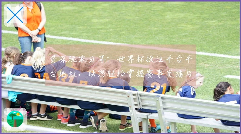 资深玩家分享：世界杯投注平台平台地址，助您轻松掌握赛事直播与投注乐趣