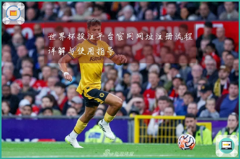 世界杯投注平台官网网址注册流程详解与使用指导