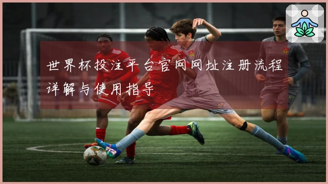 世界杯投注平台官网网址注册流程详解与使用指导