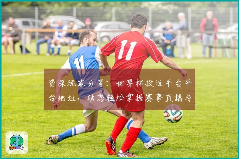 资深玩家分享：世界杯投注平台平台地址，助您轻松掌握赛事直播与投注乐趣
